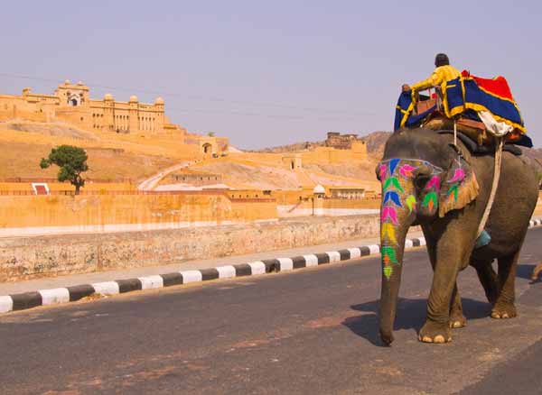 India Budget Tours