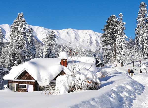 Winter Holidays