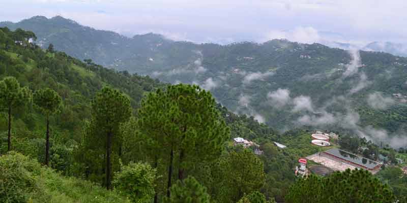 Kasauli