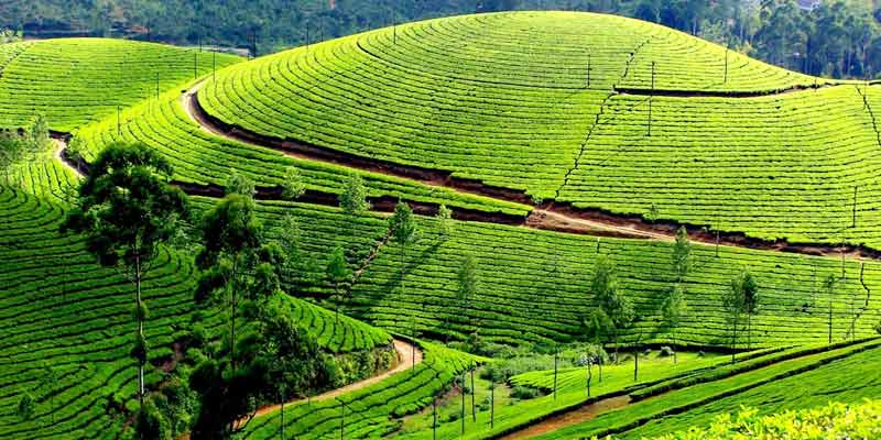 Munnar