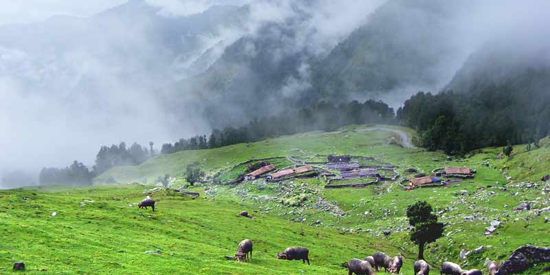 Uttaranchal